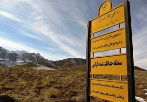 کشف سه لاشه بز وحشی از شکارچیان کرکس