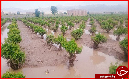 نگین فیروزه&zwnj;ای شمال غرب ایران روی ریل احیا/
