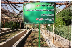 فعالیت ۱۲۷ نهالستان در کشور