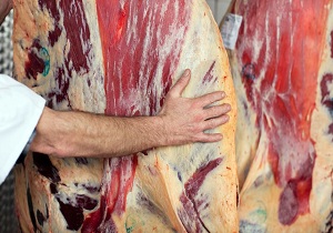 قصاب متخلف قاینی محکوم به جزای نقدی