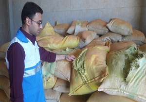 کشف انبار مواد اولیه و کارگاه تولید ادویه جات غیربهداشتی در همدان