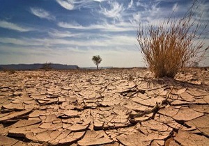هزینه کلان در راستای پروژه‌های بیابانزدایی نهبندان
