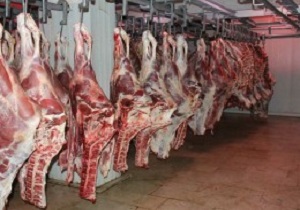نظارت مستمر بر عرضه گوشت قرمز در اردبیل