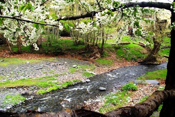 ۵ هزار تومان، چاشنی مخارج سنگین سفر&zwnj;های داخلی و خارجی/ آیا سفر به طرقبه و شاندیز گران است؟