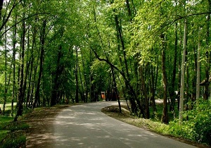احداث پارک جنگلی ۱۰۰ هکتاری در استان اردبیل
