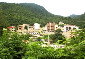 زمین خواران از قانون جلو زدند!