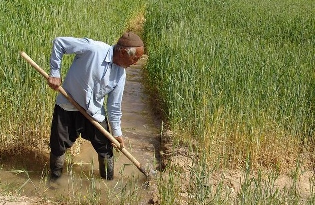کشاورزان گیلانی خروجی آب کرت‌های مزارع را باز کنند.