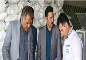 گشت مشترک بازرسان استان با هدف نظارت بر واحد‌های صنفی