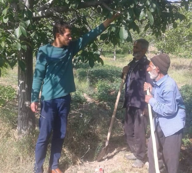 مبارزه باکرم خراط در ۲ هزار هکتار باغات جیرفت