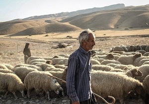 پرداخت تسهیلات قرض الحسنه به هزار نفر از عشایر خراسان جنوبی