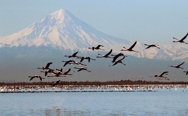 هشدار معاون محیط زیست درباره احتمال خشک شدن خلیج گرگان