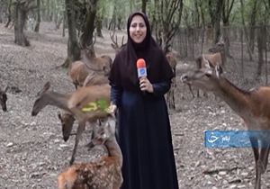 از برگزاری قرعه کشی لیگ برتر فوتبال در مشهد تا توصیه نیروهای هلال احمر درباره شنا در رودخانه&zwnj;ها + فیلم