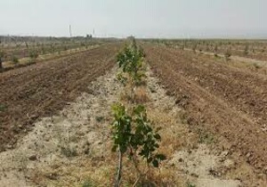 اجرای ۱۰ طرح برای افزایش دبی قنوات