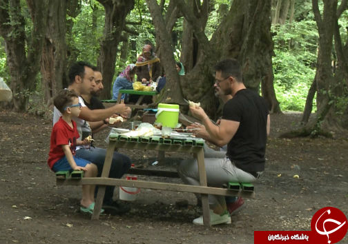 طرح حفاظت پارک جنگلی النگدره گامی بلند برای احیای طبیعت استان