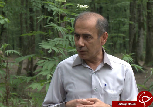 طرح حفاظت پارک جنگلی النگدره گامی بلند برای احیای طبیعت استان
