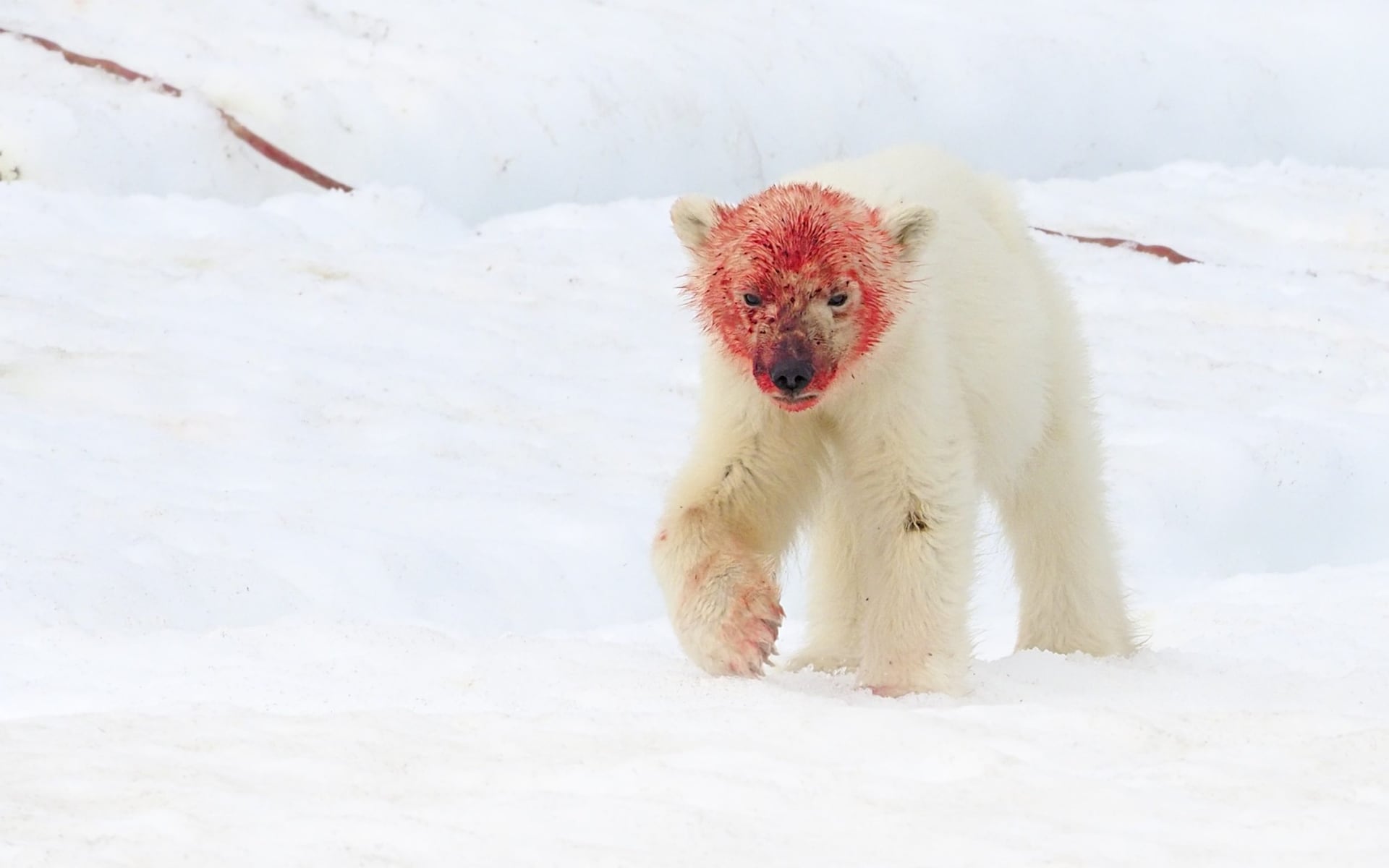 تصاویر روز: از