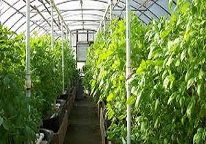 توصیه‌های هواشناسی کشاورزی
