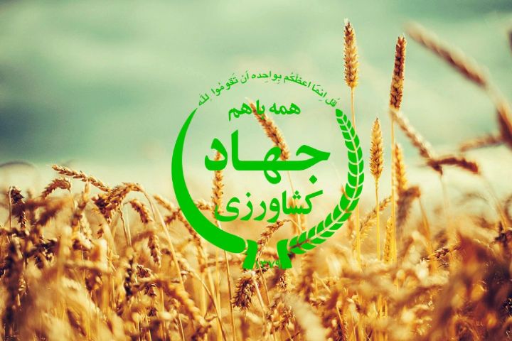 جذب ۳۰۰میلیاردی تسهیلات کشاورزی در گیلان