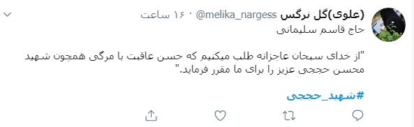 #شهید_حججی/ آسمان فرصت پرواز بلندیست ولی قصه اینست چه اندازه کبوتر باشی +تصاویر