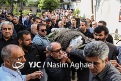 جشن سینمای ایران‎