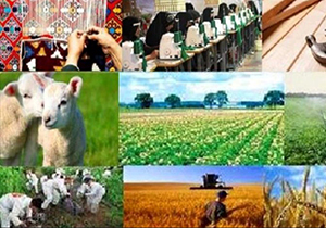 ایجاد اشتغال برای ۱۳ هزار نفر با اجرای طرح‌های اشتغال پایدار روستایی