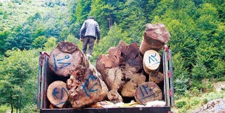 کشف چوب و زغال قاچاق در آستارا