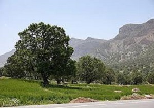 برخورد قانونی با کسانی که با تراکتور به جان منطقه حفاظت شده قلاجه افتاده اند