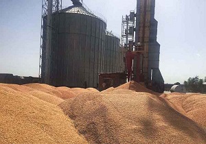 اخذ مجوز احداث ۶ سلیو ذخیره سازی گندم در خوزستان