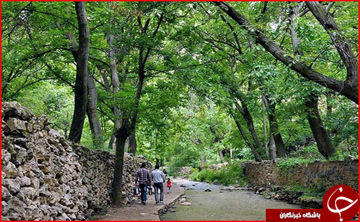آیا سفر به طرقبه و شاندیز گران است؟ / کدام در خوزستان ضروری&zwnj;تر است؛ ساخت سیل&zwnj;بند یا کانال سیلاب&zwnj;بر؟ /آیا بیمار فوت شده در خوزستان به تب کریمه کنگو مبتلا بود؟ /