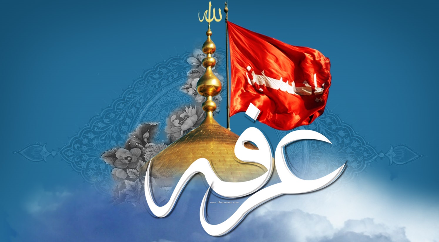 #روز_عرفه/ عرفه آمد و من باز مصفا نشدم؛ حاجی معتکف یوسف زهرا نشدم +تصاویر
