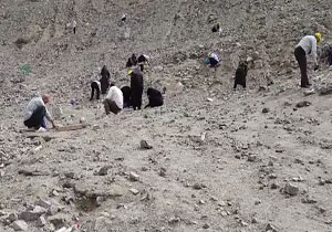 دشواری تردد از جاده باریک روستای تاج&zwnj;خاتون/ وقتی زباله در &laquo;طاسکوه&raquo; تغذیه دام می&zwnj;شود + فیلم و تصاویر