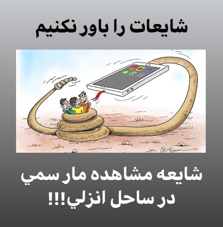 مشاهده مار سمی در ساحل بندر انزلی صحت دارد؟