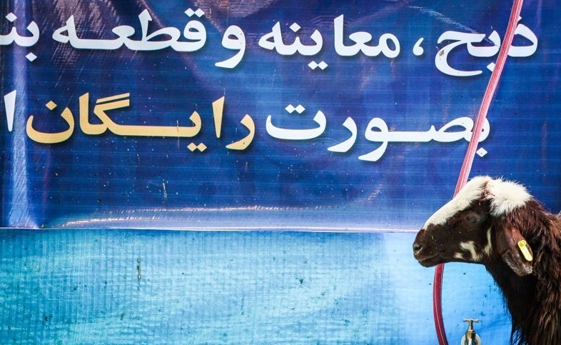 ذبح دام توسط کشتارگاه مشهد به صورت رایگان انجام می&zwnj;شود