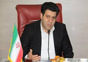 لزوم  برنامه ریزی دولت برای تقویت تولید و حمایت از تولید کنندگان