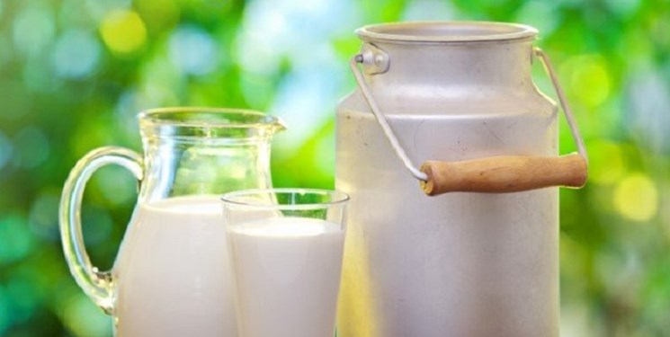 شیری که بیشترین تاثیر را بر روی محیط زیست دارد