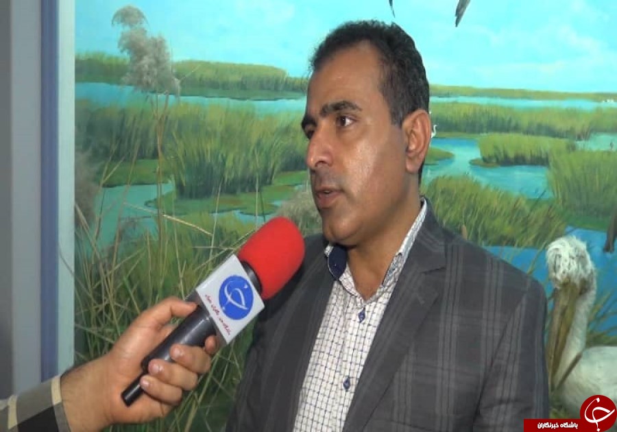 ذخایر ژنتیکی بانک ژن محیط زیست بوشهر افزایش یافت