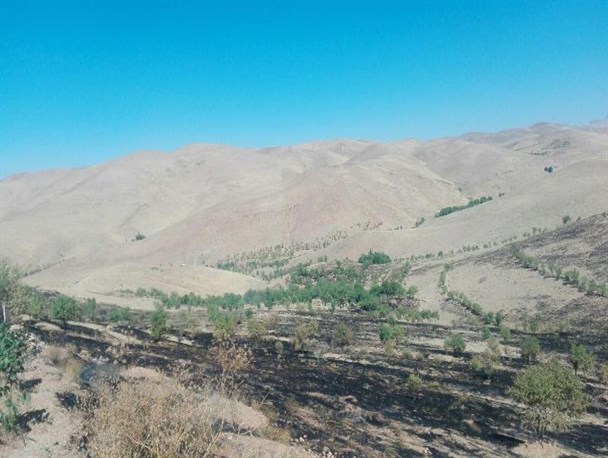 خسارت ۶۰۰ میلیون ریالی آتش سوزی به مراتع روستای کردآباد فراهان