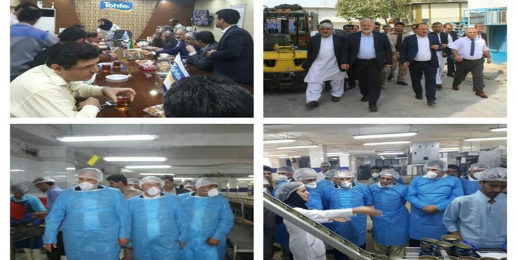 بخش شیلات شهرستان کنارک از ظرفیت خوبی برخوردار است