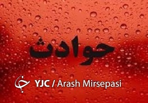 دستگیری ۱۵سارق در طرح عملیاتی پلیس تا سقوط  یک سقوط یک قلاده بچه گربه
