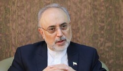 پیام تسلیت دکتر صالحی به رهبر انصارالله یمن