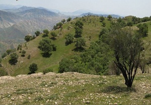 منطقه شکار ممنوع شو و لندر زیر ذره بین مسئولان لالی