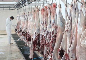 نگهداری گوشت&zwnj;های قربانی حداقل تا ۲۴ ساعت در یخچال برای جلوگیری از بیماری&zwnj;ها