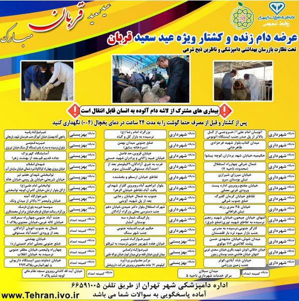 گزارش عید قربان//گرانی دام زنده به بازار عید قربان می رسد؟/ بی رمغی بازار دام زنده در عید قربان/ یا/ مردم فریب تبلیغات مجازی را نخورند/ قیمت مصوب دام زنده در عید قربان چند؟