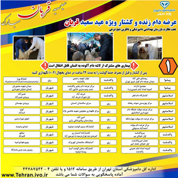 گزارش عید قربان//گرانی دام زنده به بازار عید قربان می رسد؟/ بی رمغی بازار دام زنده در عید قربان/ یا/ مردم فریب تبلیغات مجازی را نخورند/ قیمت مصوب دام زنده در عید قربان چند؟
