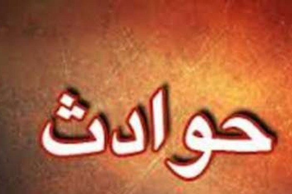 کشف ۲۲ فقره سرقت در ایلام
