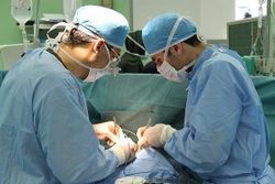 انجاموفقیت آمیز نخستین پیوند مغز استخوان آوژنیک آنریلیتد در تبریز