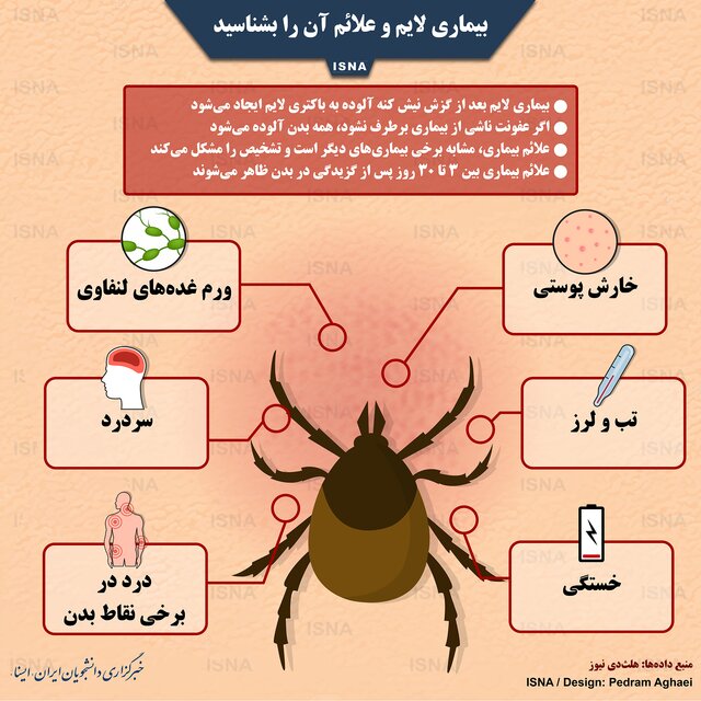 بیماری لایم و علائم آن را بشناسید + اینفوگرافی
