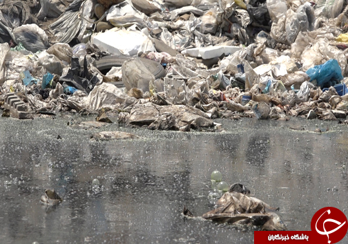 بحران زباله نفس ساحل محموآباد را گرفت