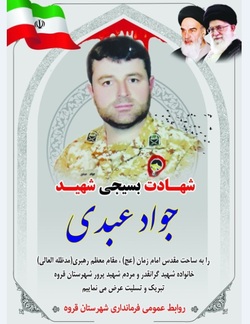 بسیجی کردستانی آسمانی شد