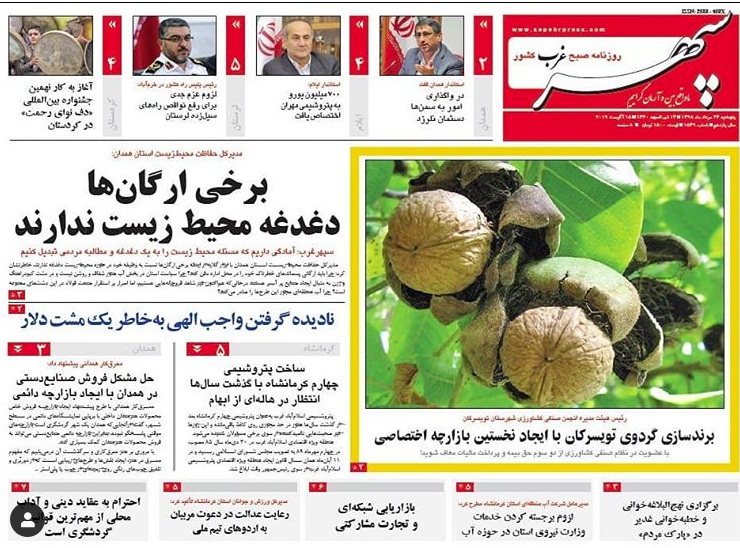برندسازی گردو تویسرکان/